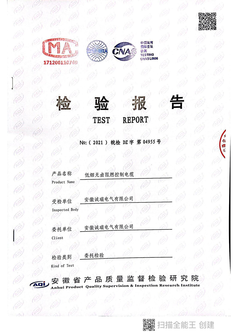 檢驗(yàn)報(bào)告